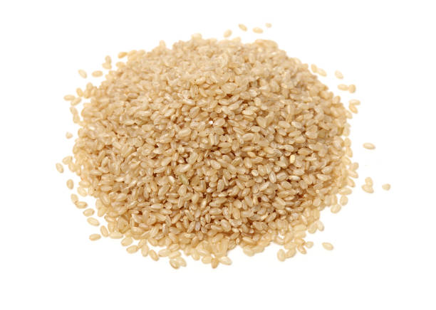 현미 - brown rice rice brown scoop 뉴스 사진 이미지
