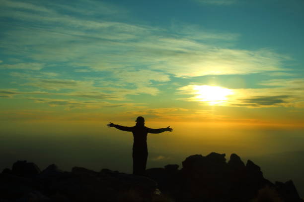 istock woman silhouette from behind 1185645212