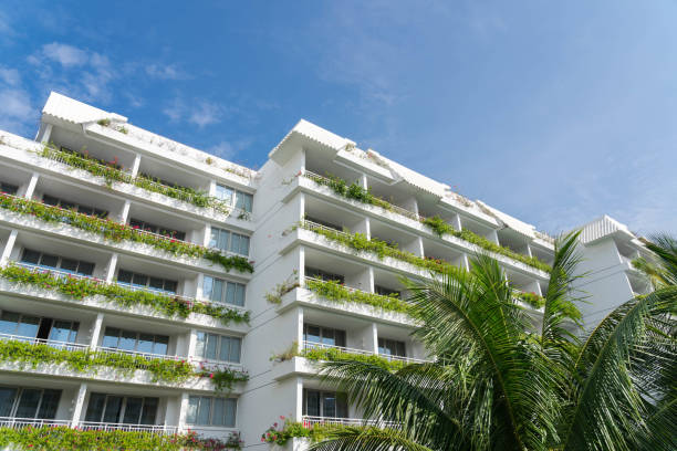 sfondo resort - luxury hotel palm tree lush foliage asia foto e immagini stock