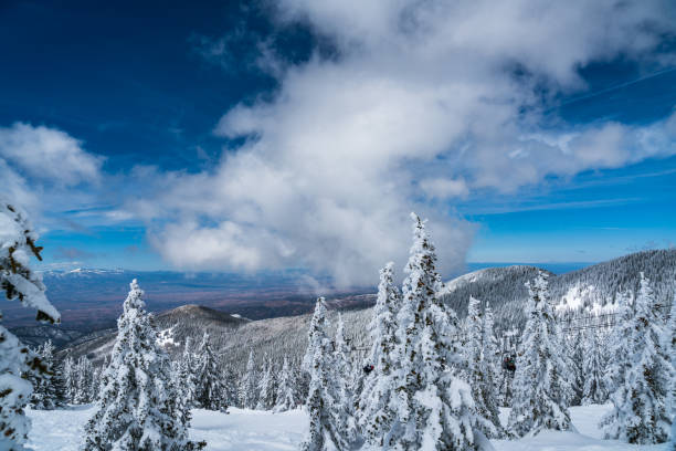 istock In the middle of no where in a snow covered landscape 1185646964