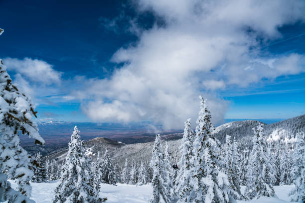 istock Winter Wonderland in New Mexico 1185647012