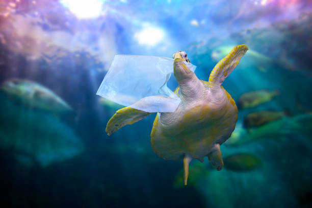 プラスチック製のウミガメは青い海の下でビニール袋を食べています。環境保全の概念と海にゴミを投げない - sea life sea reef animal ストックフォトと画像