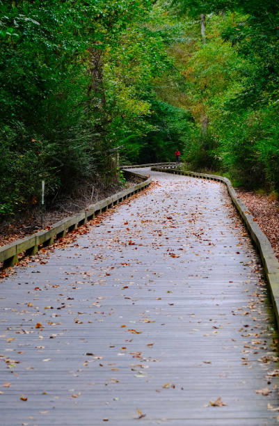 istock Walking Trail in Autumn 1185650455