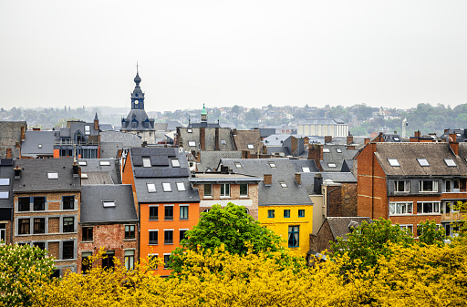 high angle view of the Copenhagen skyline (Denmark).