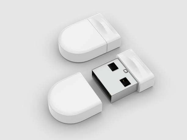 Blank pen drive for promotional branding. 3d render illustration.