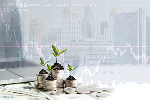 Growth plants economic on stack of coins on paper analyze performance financial graph funding with calculate for investment business. Investment and Saving Concept