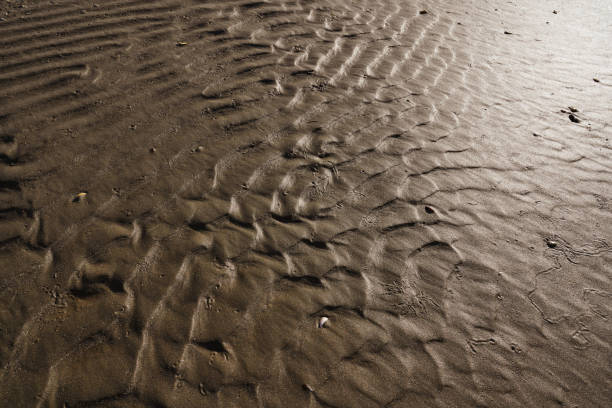 superficie de alivio de arena húmeda - dry sea riverbank mud fotografías e imágenes de stock