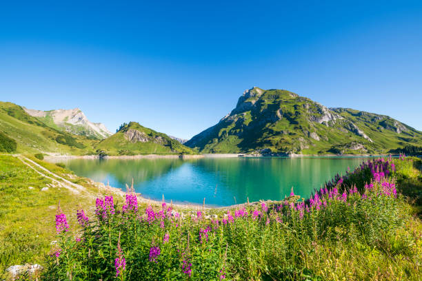 レッヒ渓谷のスプーラー湖 - autumn panoramic lech valley landscape ストックフォトと画像