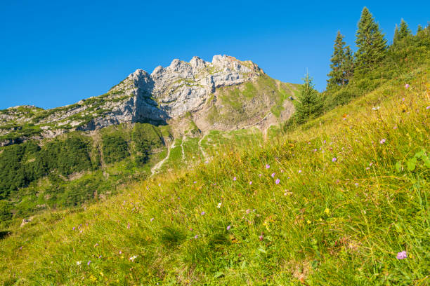istock View to the Alps in Austria 1185660556