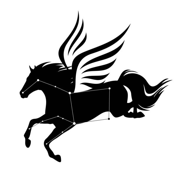 ilustraciones, imágenes clip art, dibujos animados e iconos de stock de alado estrella de caballo pegasus constelación diseño vectorial blanco y negro - pegasus horse symbol mythology