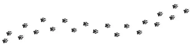 Vector illustration of Footpath trail of a wolf