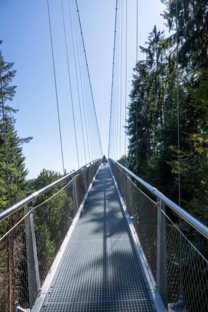 istock cable bridge at Bad Wildbad south Germany 1185669734