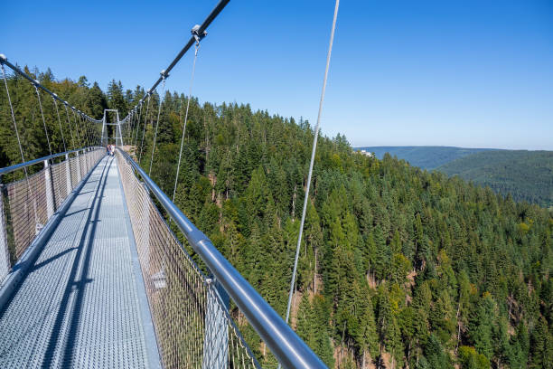 istock cable bridge at Bad Wildbad south Germany 1185669761