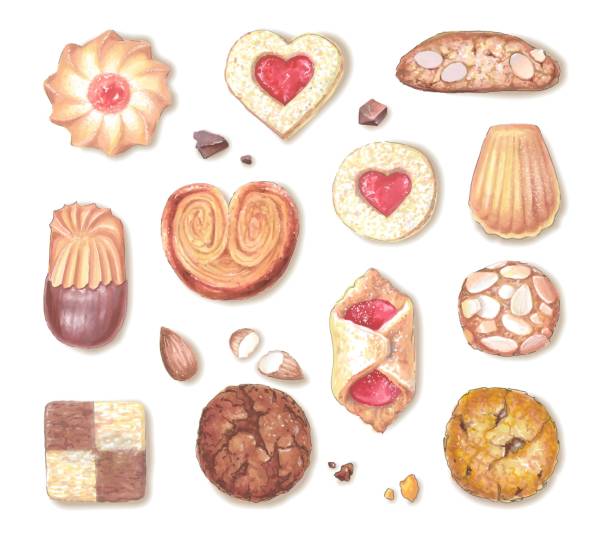 różne rodzaje słodkich ciasteczek. realistyczna ilustracja wektorowa - biscotti isolated cantucci almond stock illustrations