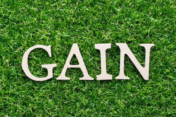 istock Wood alphabet in word gain on artificial green grass background 1185670148