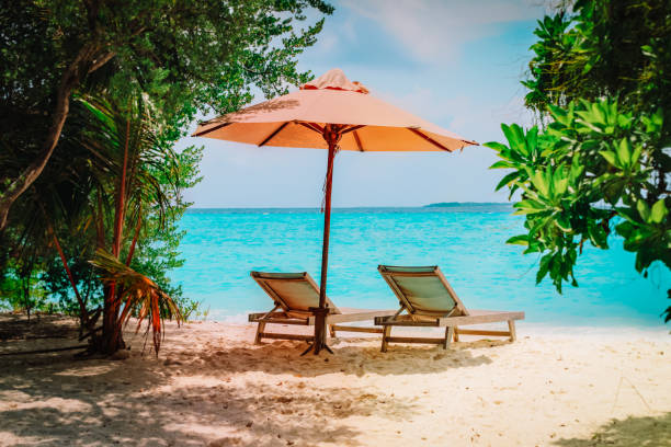 istock Two beach chairs on tropical sea vacation 1185670351