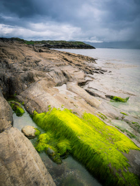 Coastline with rocks along ring of beara in ireland
