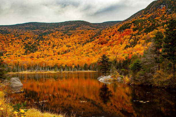 istock Vermont Landscape in Autumn 1185674431