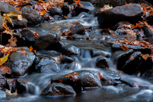istock Vermont River in Autumn 1185674438