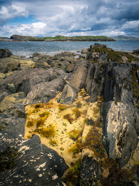 istock Coastline with rocks along ring of beara in ireland 1185674536