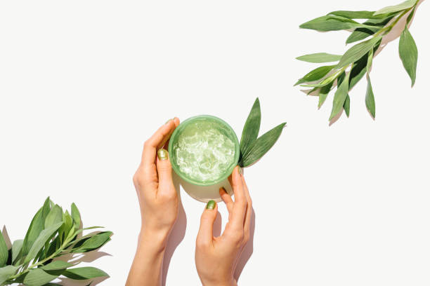 Flat lay female hands with green manicure Flat lay female hands with green manicure holding jar of cosmetic aloe gel next to fresh leaves on white table, top view. aloe juice stock pictures, royalty-free photos & images