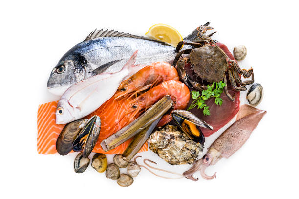 Group of raw seafood isolated on white background Food: group of healthy fresh raw seafood shot from above on white background. The composition includes fish, salmon steak, tuna steak, crab, shrimps, razor clams, mussels, oyster, squid and various clams. Predominant colors are red, brown and white. XXXL 42Mp studio photo taken with Sony A7rii and Sony FE 90mm f2.8 macro G OSS lens bivalve photos stock pictures, royalty-free photos & images