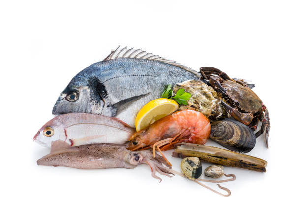 istock Group of raw seafood isolated on white background 1185678024