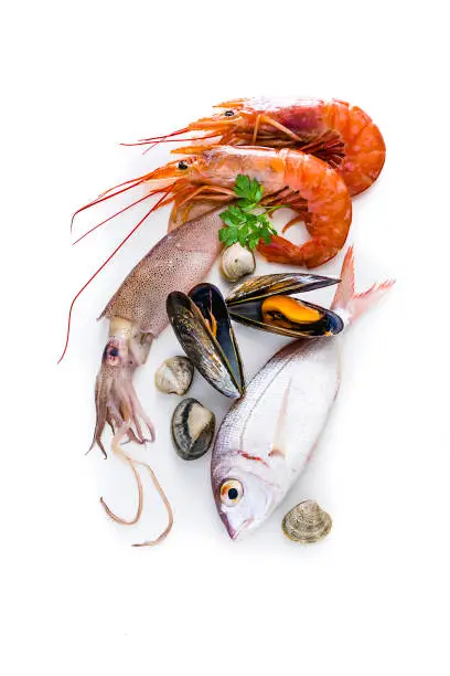 Food: group of healthy fresh raw seafood shot from above on white background. The composition includes fish, shrimps, mussels, squid and various clams. Predominant colors are red and white. XXXL 42Mp studio photo taken with Sony A7rii and Sony FE 90mm f2.8 macro G OSS lens