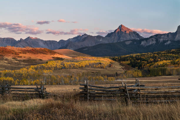 istock Autumn Aspen Color 1185680815