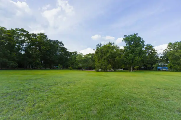 Photo of landscape of grass field and green environment public park use as natural background,backdrop