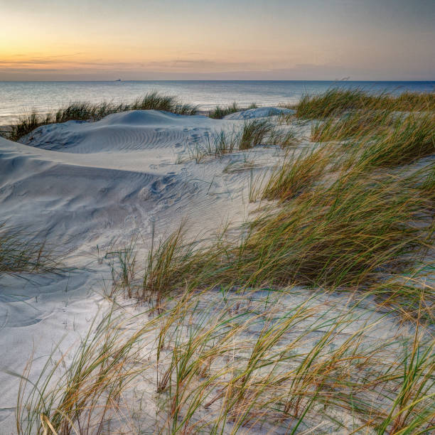 istock The last day light near Baltic sea 1185682570
