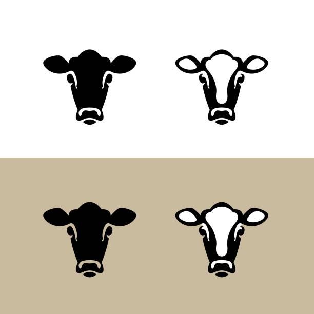 ilustraciones, imágenes clip art, dibujos animados e iconos de stock de cabeza de vaca. icono vectorial. - cow