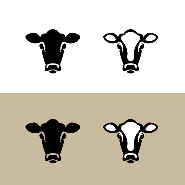 Head of a Cow. Vector icon. Head of a Cow (Calf / Bull), vector icon (sign, pictogram). Flat, detailed. On white and craft paper color. cattle stock illustrations