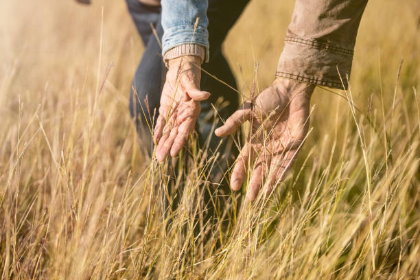 istock Field of memories. 1185686911