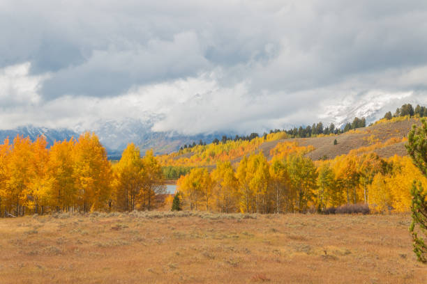 istock Autumn Scenic Landscape in the Tetons 1185687730