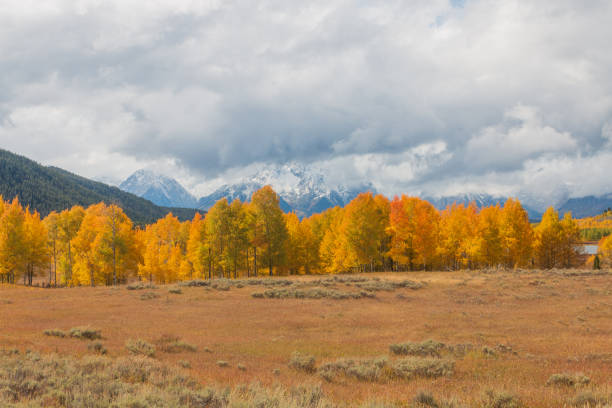 istock Autumn Scenic Landscape in the Tetons 1185687731