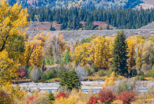 istock Autumn Scenic Landscape in the Tetons 1185688256