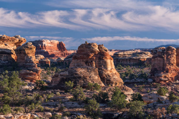 istock Canyonlands National Park 1185688800