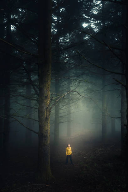 istock Walking in a forest on a foggy morning 1185694289