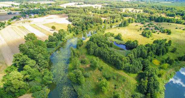 istock Autumn on the Widawka river, Poland 1185696897