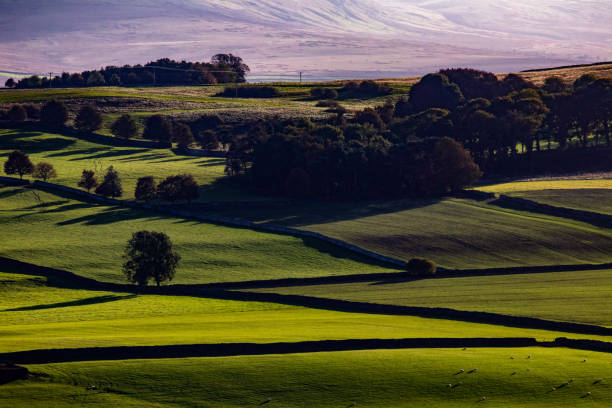 istock Farms in Yorkshire Dales 1185708659