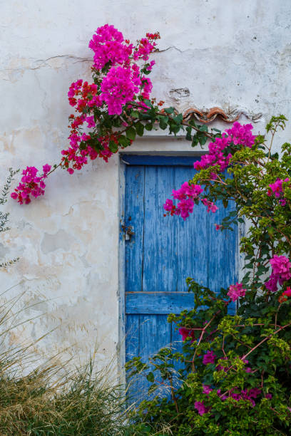 istock agistri island 1185709359