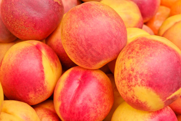 donut peaches. flat peaches on the background
