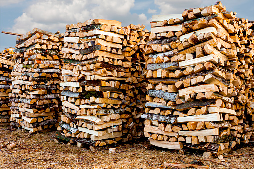 A woodpile of firewood