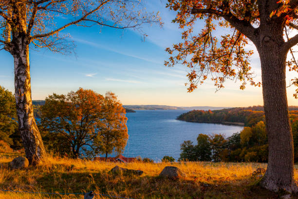 istock Morning in lake country 1185711577