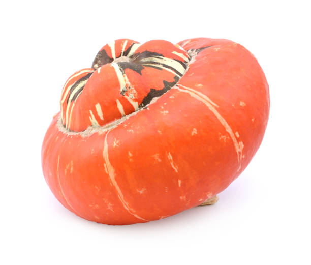 istock Deep orange turban squash in profile with colourful, striped centre 1185711694