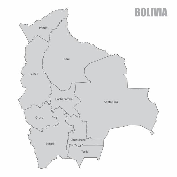 Bolivia regions map The gray map of Bolivia divided into regions bolivia stock illustrations