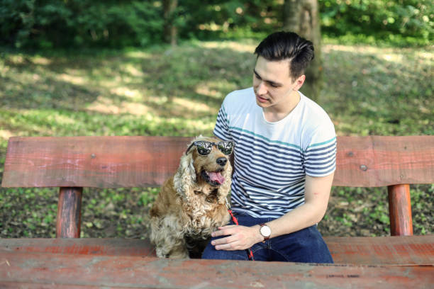 Young man having fun with his English Cocker Spaniel dog in park. About 20 years old, Caucasian male.