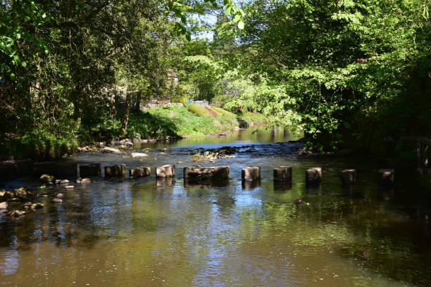 istock Stepping Stones Over a Shallow River in the UK 1185716711