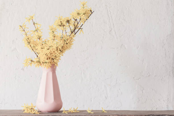 istock forsythia  in vase on white background 1185716758